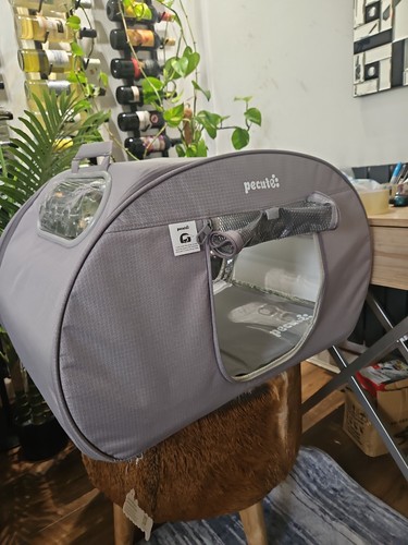 Pecute cat cooling - pecute,