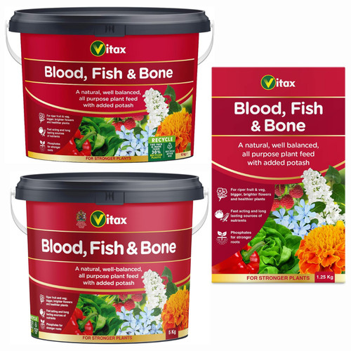 Blood fish bone organic - blood,