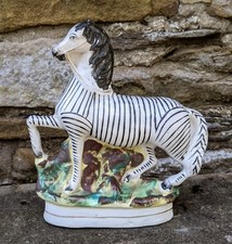 Staffordshire Zebra