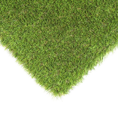 Cypress 38mm backed - cypress,