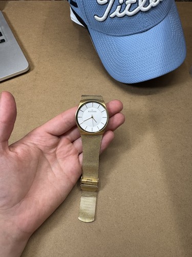 Skagen havene watch mens - skagen,