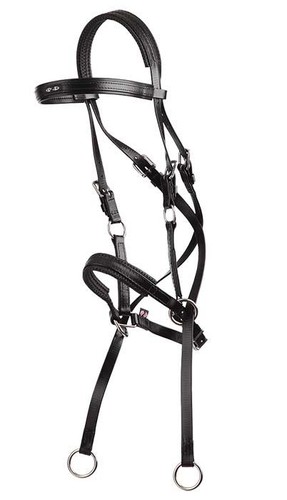 Bitless bridle black biothane - bridle,
