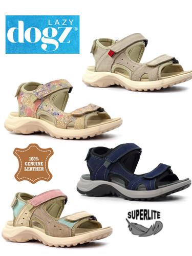 Lazy dogz ladies walking - dogz,