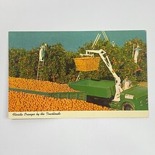 Orange Grove Pickers Buckets