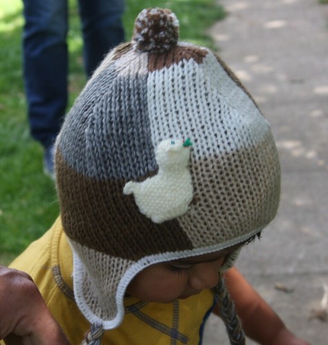 Alpaca hats with - with, earflaps