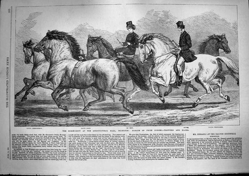 Old antique print 1868 horse - antique,