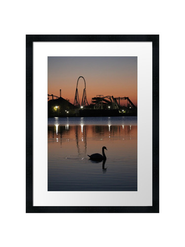 Thorpe park sunset - park, silhouette