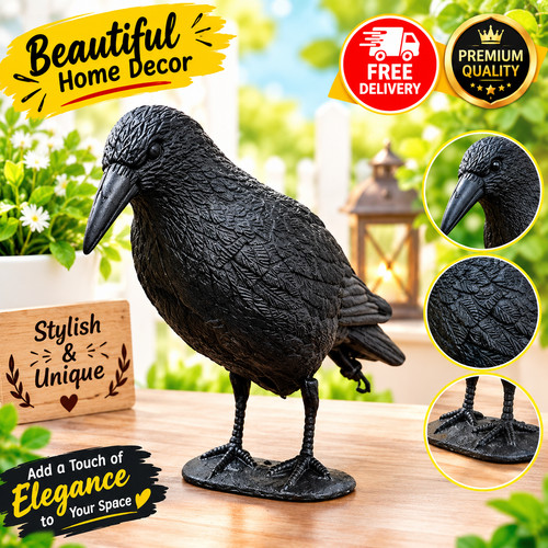 Life size crow - life, decoy