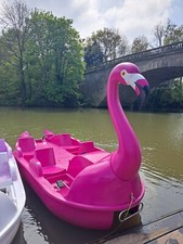 Flamingo Pedalo Pedal Boat for