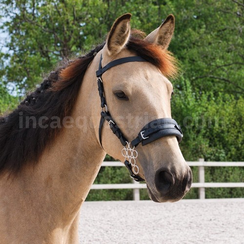 Flower hackamore complete - flower,