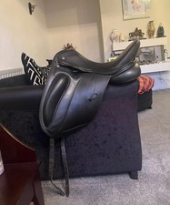 Ryder walsall M/W dressage