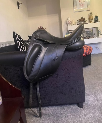 Ryder walsall dressage - ryder,