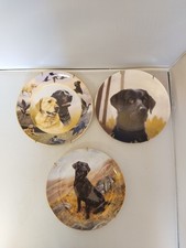 Set of 3 Labrador Plates - 2x