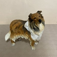 Rough Collie Lassie Dog