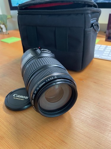 Canon 300mm 5 - f/4-5.6, is