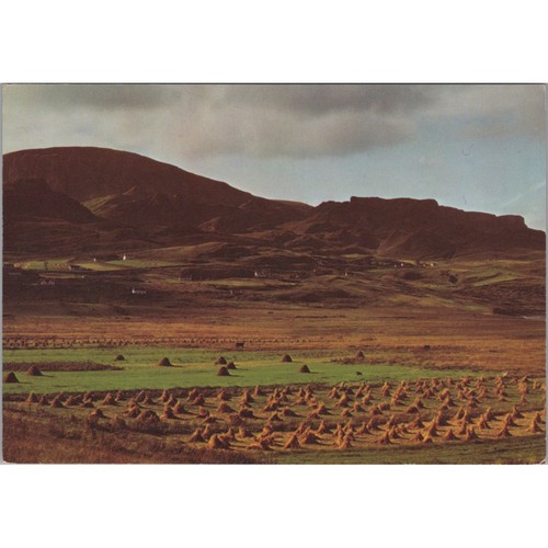 Postcard harvest time - postcard,