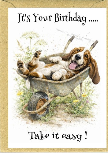 Basset hound dog birthday - basset,