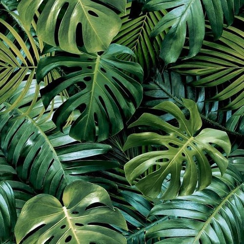 Arthouse living wall effect - arthouse,