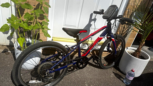 Wiggins 20in unisex kids - wiggins, bike