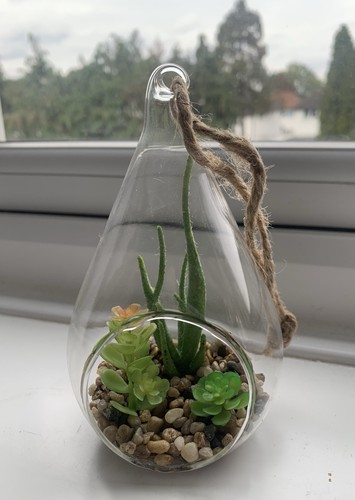 Hanging glass terrarium - glass,
