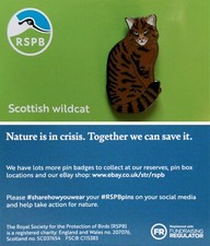 RSPB Pin Badge Scottish Wild Cat NIIC P03127