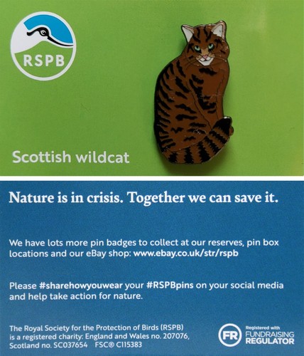 Rspb pin badge niic scottish - rspb,