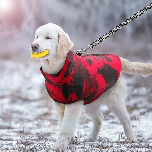 Dog puppy padded waterproof - padded,