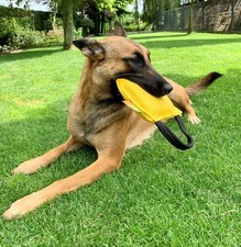 Euro Joe - Just Play Bite Tug