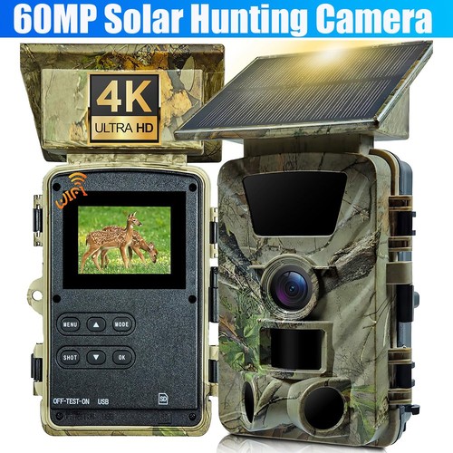 Solar power hunting game - 4k,
