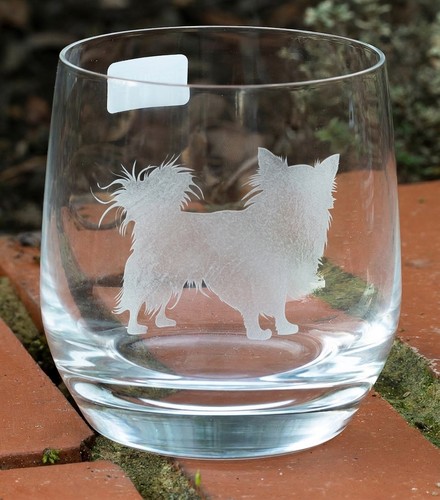 Personalised papillon dog - papillon,