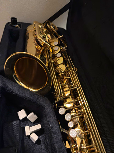 Eastar alto saxophone - saxophone, gold