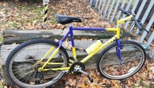 Muddyfox Pathfinder 21" 1980s