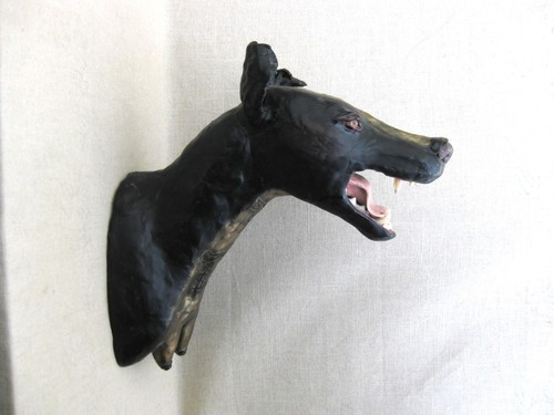 Mexican hairless dog - mexican,