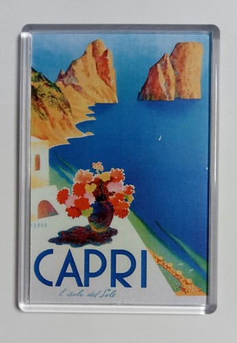 Extra large fridge magnet - fridge,