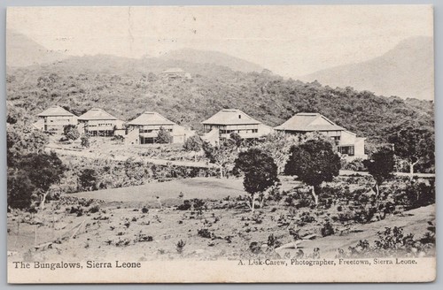 Sierra leone the - leone,
