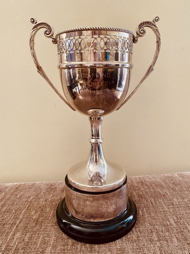 Silver trophy - trophy, |
