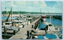 POSTCARD Charter Boats Deep Sea Fishing Municipal Pier Gulfport Mississippi 