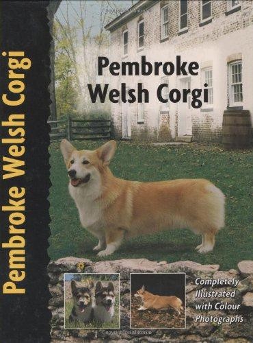 Pembroke welsh corgi - corgi, (pet