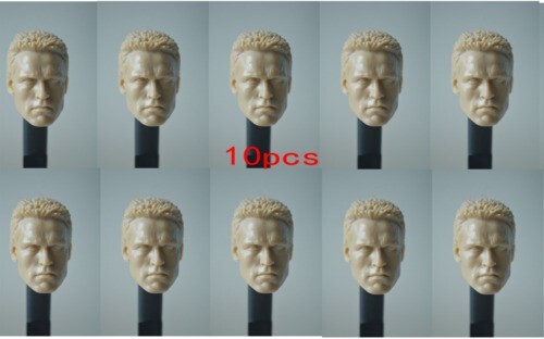 10pcs unpainted arnold - 10pcs, 1/6