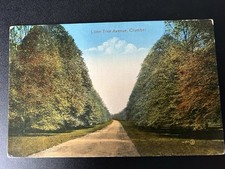 Clumber, Lime Tree Avenue