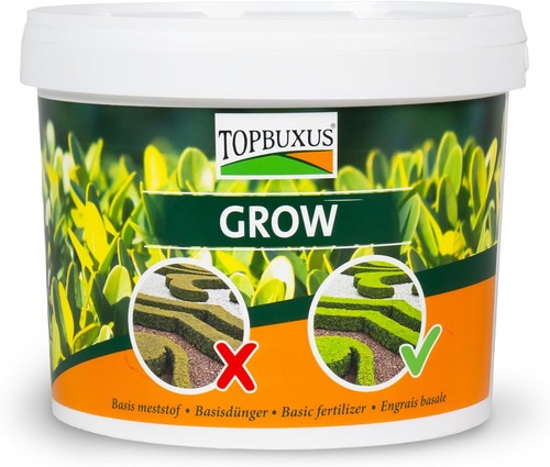 Professional boxwood - professional,