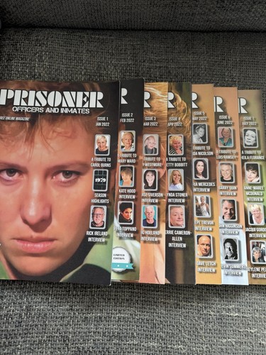 Prisoner cell block - prisoner,