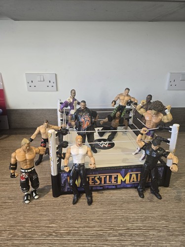 Wwe wrestling figure job lot - wrestling,