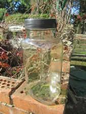 Vintage 1970 Original Glass