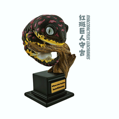 Rhacodactylus leachianus 11cm - rhacodactylus,