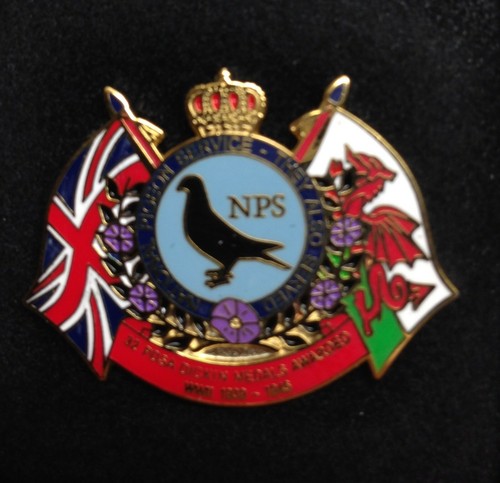 Pigeon badge remembrance - badge,