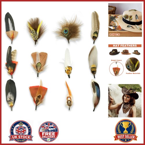 12pcs colorful hat - colorful,