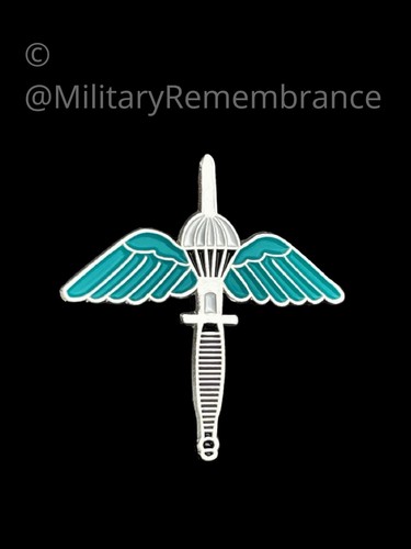 Commando winged dagger lapel - commando,