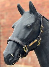 ANATOMICAL HEADCOLLAR