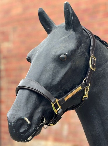 Anatomical headcollar - anatomical,